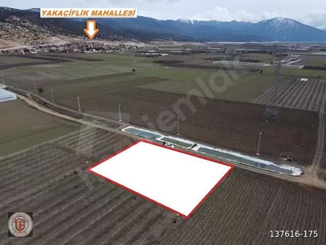 Elmali, Antalya içerisinde satılık Arsa