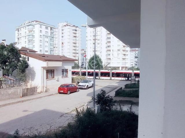 Atakum, Samsun içerisinde kiralık mülk
