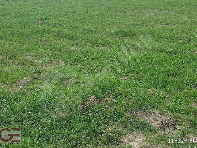 Burhaniye, Balikesir içerisinde satılık Arsa