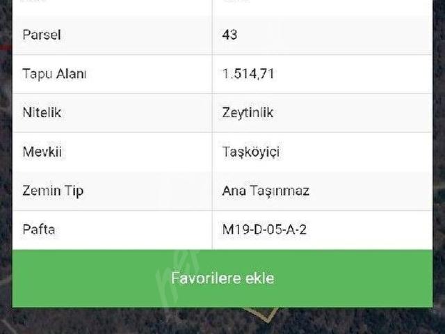 Timinciler, Koçarlı içerisinde satılık mülk
