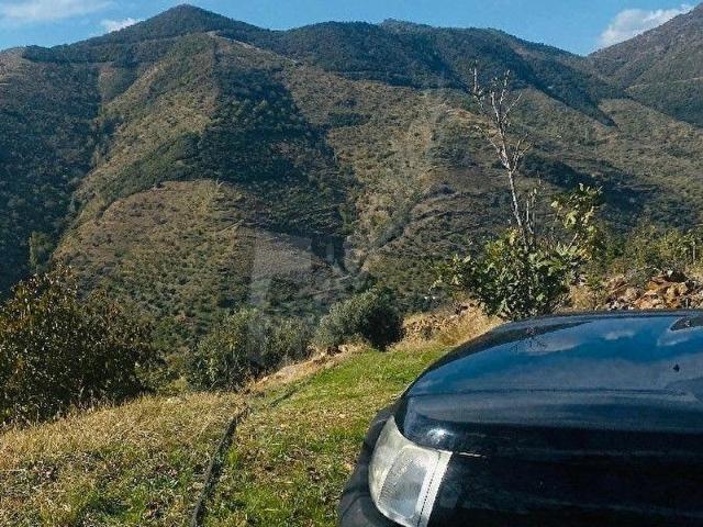 Tire, İzmir içerisinde satılık mülk