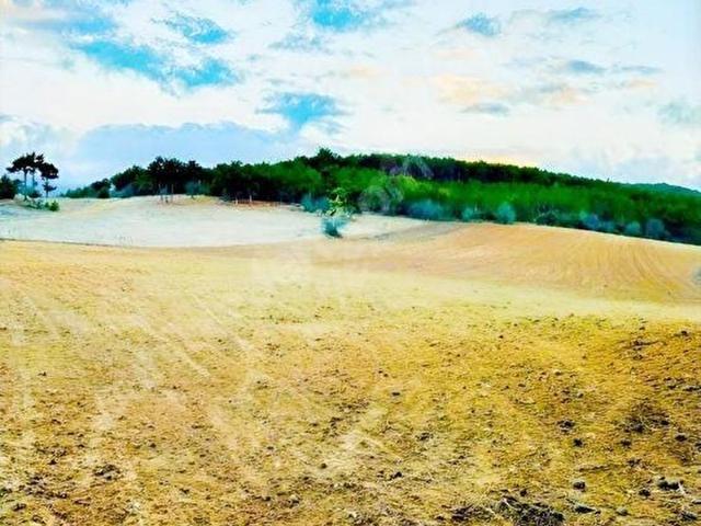 Uzunçam, Emet içerisinde satılık Arsa