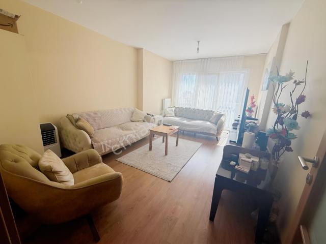 Zeytinburnu, İstanbul içerisinde satılık mülk