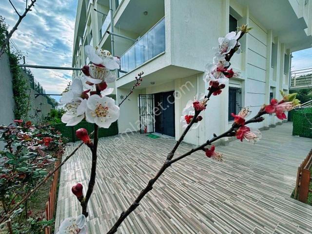 Burhaniye, Balikesir içerisinde satılık mülk