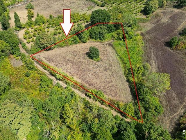 Karamürsel, Kocaeli içerisinde satılık Arsa