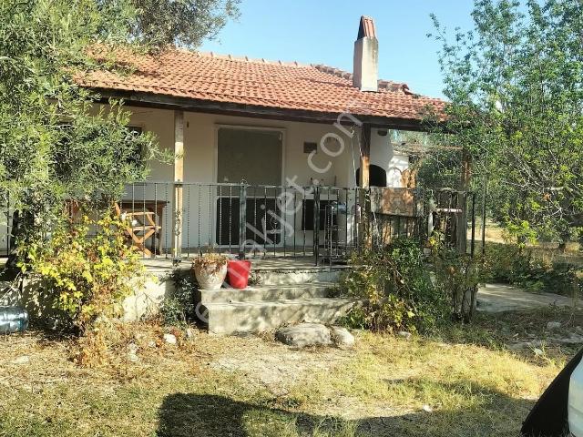 Manisa içerisinde kiralık mülk