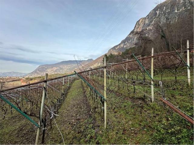 Terreno in vendita a Comunità della Vallagarina, Volano