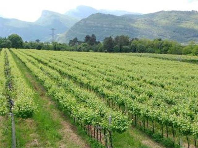 Terreno in vendita a Comunità della Vallagarina, Borgo Sacco
