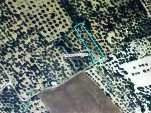 Terreno in vendita a Gravina in Puglia, Bari