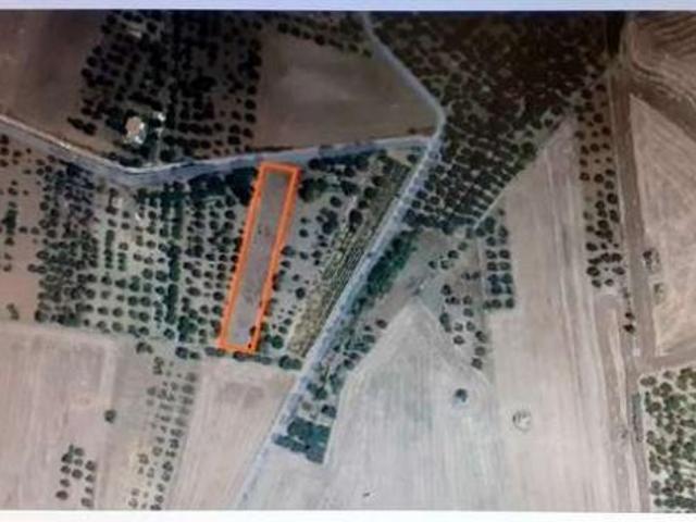 Terreno in vendita a Puglia, Bari