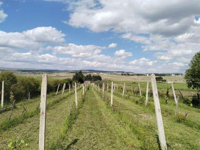Terreno in vendita a Puglia, Bari