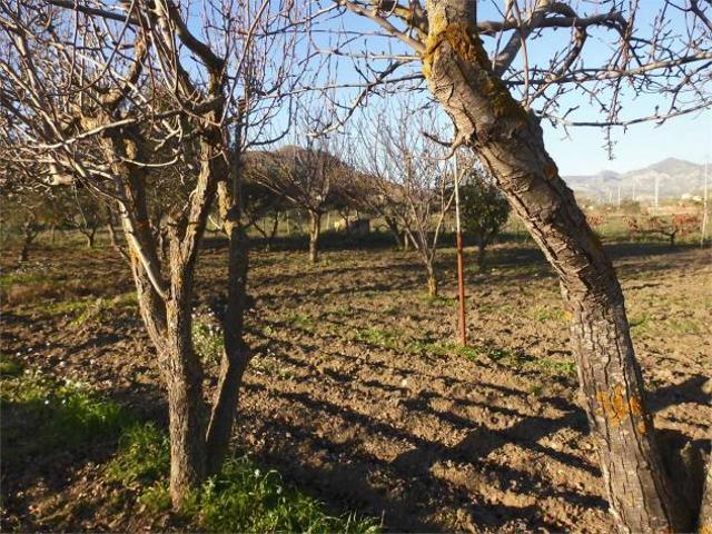 Terreno in vendita a Siculiana, Sicilia