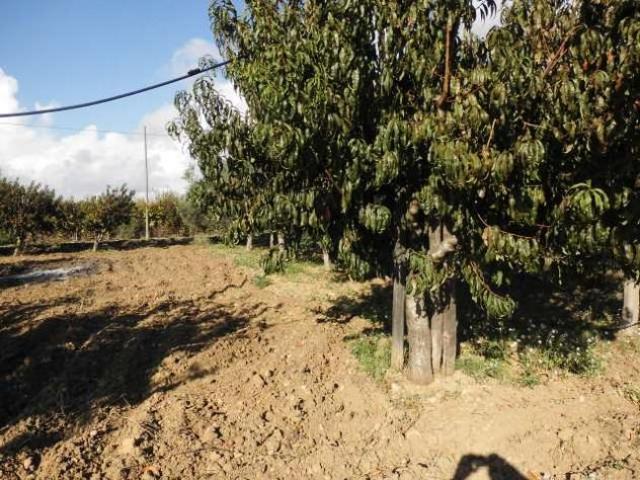 Terreno in vendita a Agrigento, Sicilia