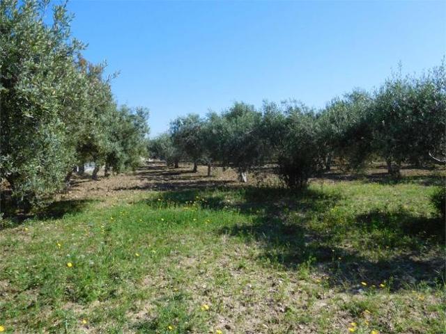 Terreno in vendita a Agrigento, Sicilia