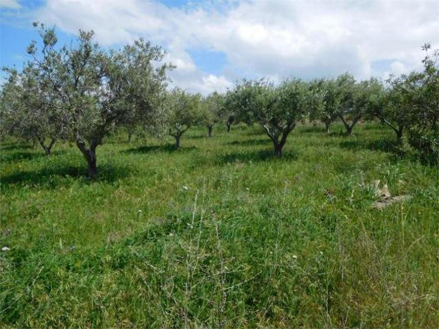 Terreno in vendita a Favara, Sicilia