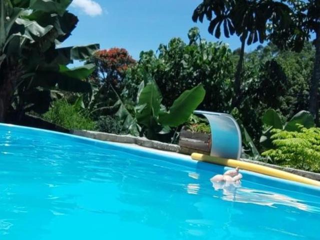 Sítio e chácara venda em Arujá