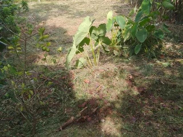 Sítio e chácara venda em Região Imediata de São Paulo, Região Metropolitana de São Paulo