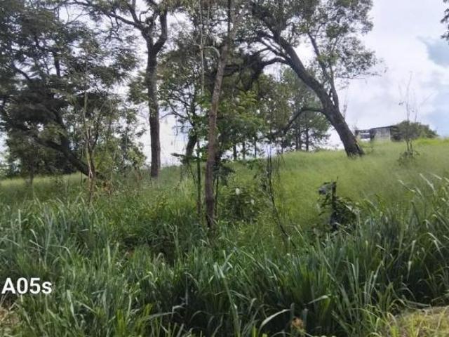 Terreno venda em Região Imediata de Jales, Aspasia