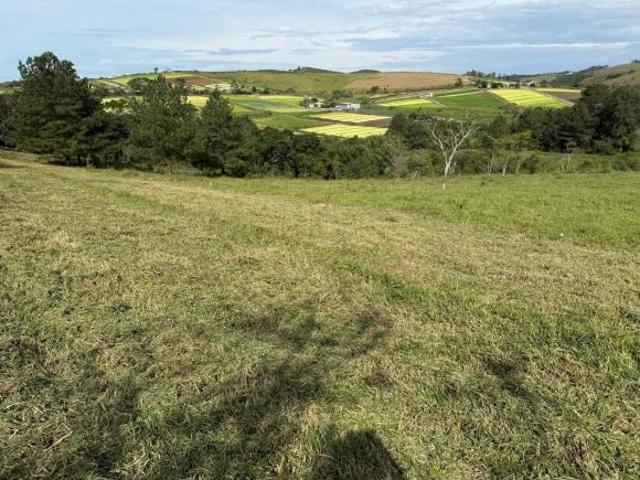 Terreno venda em Santa Isabel
