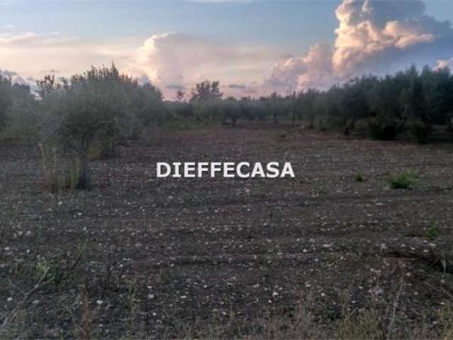 Terreno in vendita a Marsala, Sicilia