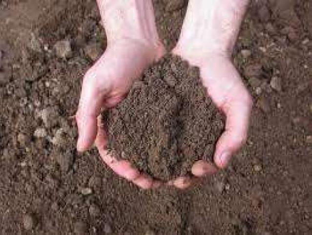 Terreno in vendita a Marsala, Sicilia