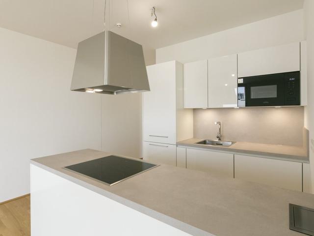 Wohnung mieten in Seestadt, Wien
