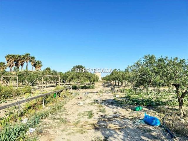 Terreno in vendita a Marsala, Sicilia