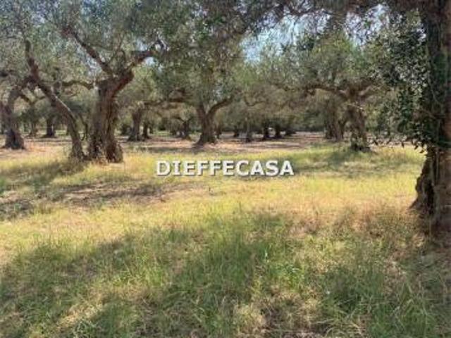Terreno in vendita a Trapani, Sicilia