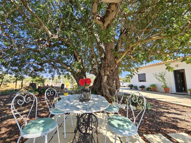 Casa alugar em Juncais, São Brás De Alportel
