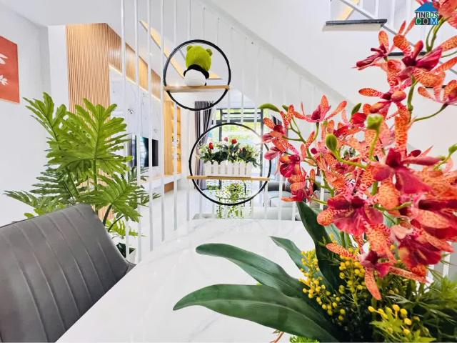 Nhà bán tại Khuôn viên UBND Thành phố Hồ Chí Minh, Thành phố Hồ Chí Minh