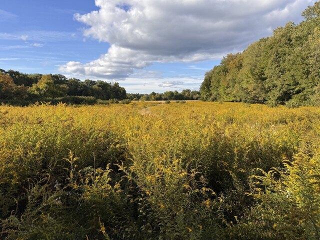 Land for sale in Red Bridge, Wilbraham