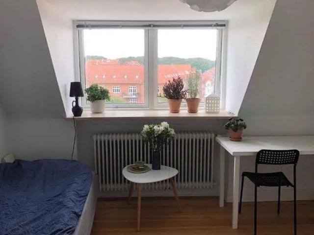 Zimmer til leje i Trøjborg, Aarhus