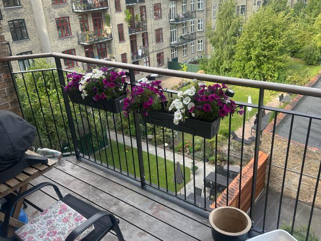 Zimmer til leje i Frederiksberg C, Brøndby