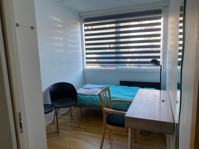 Zimmer til leje i Nørrebro, København