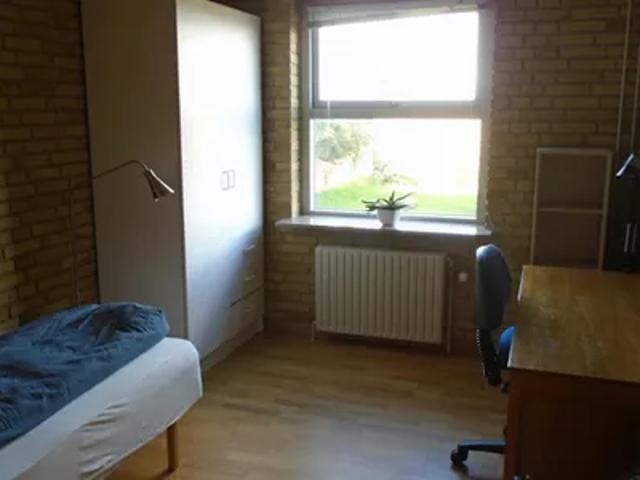 Zimmer til leje