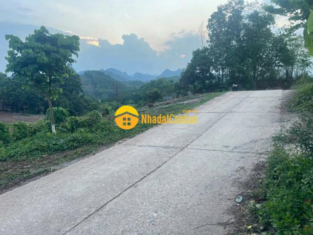 Mặt bằng bán