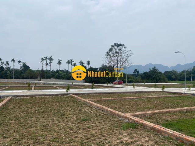 Mặt bằng bán