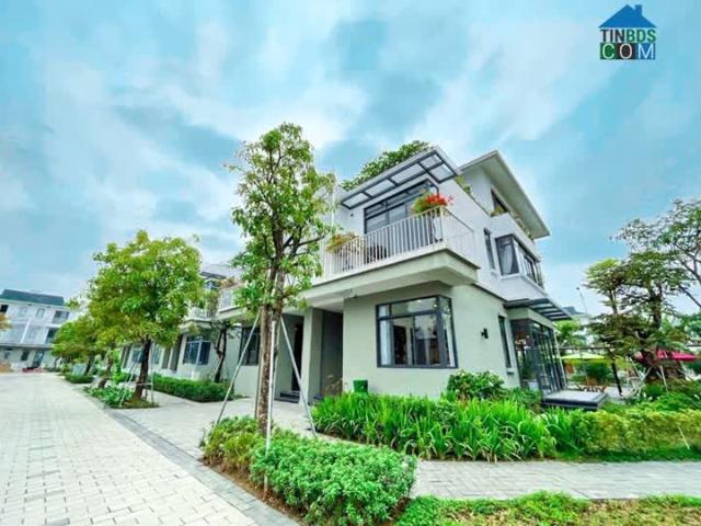 Biệt Thự bán