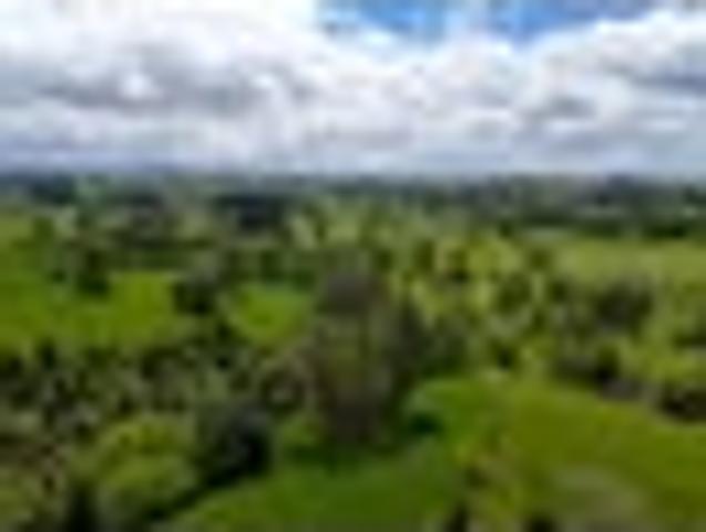 Land for sale in Ngahinapouri, Waikato