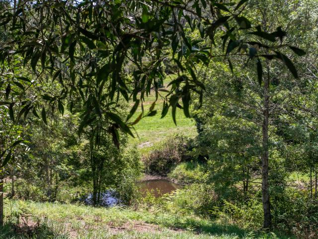 Property for sale in Tuchekoi, Queensland