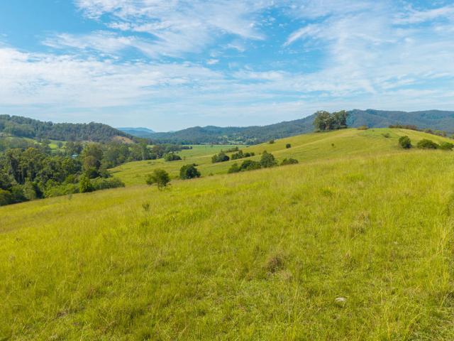 Property for sale in Hollisdale, New South Wales