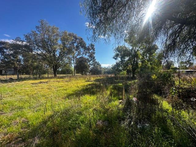 Land for sale in Trundle, New South Wales