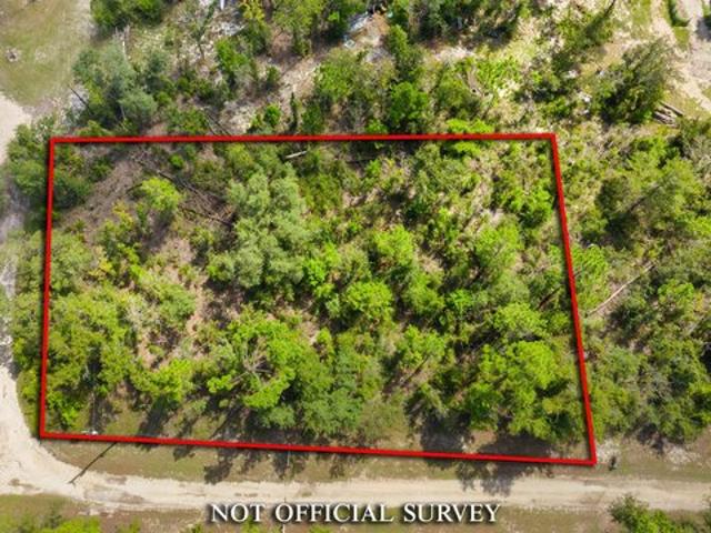 Land for sale in Perry, Taylor County