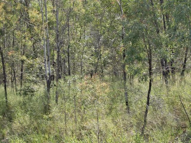 Land for sale in Eidsvold, Queensland