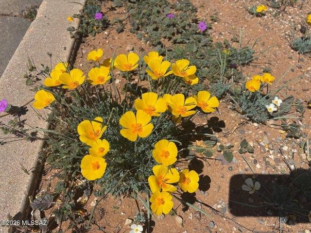 Land for sale in Cochise, Arizona
