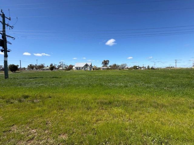 Land for sale in Warren, New South Wales