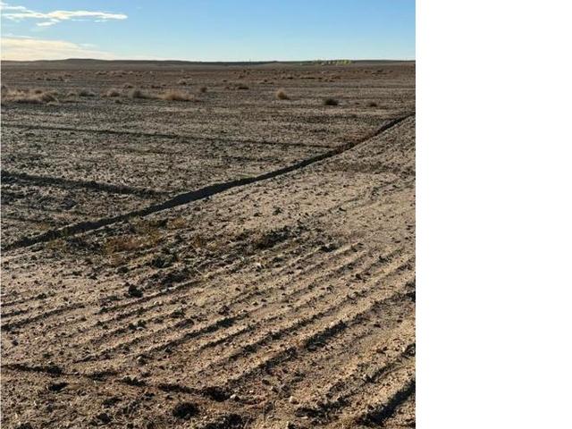Land for sale in La Salle, Weld County