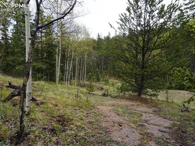 Land for sale in Cripple Creek