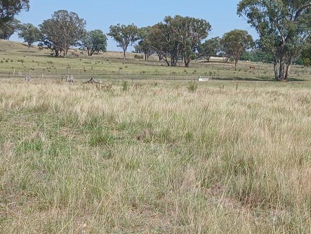 Land for sale in Bundarra, New South Wales
