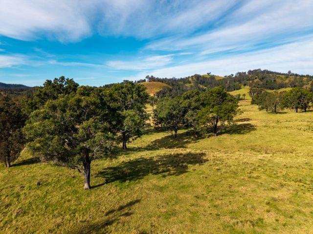 Land for sale in Cobargo, New South Wales